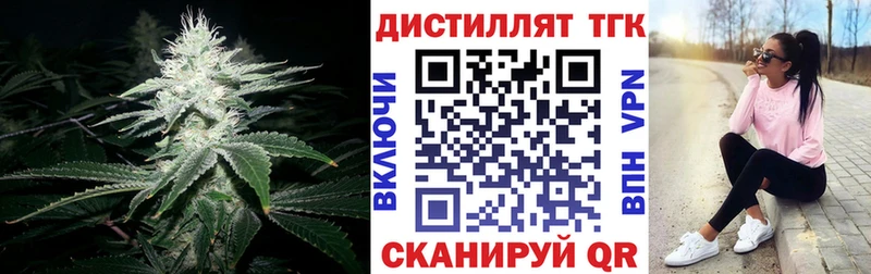 Купить закладки  Сасово  ТГК вейп 
